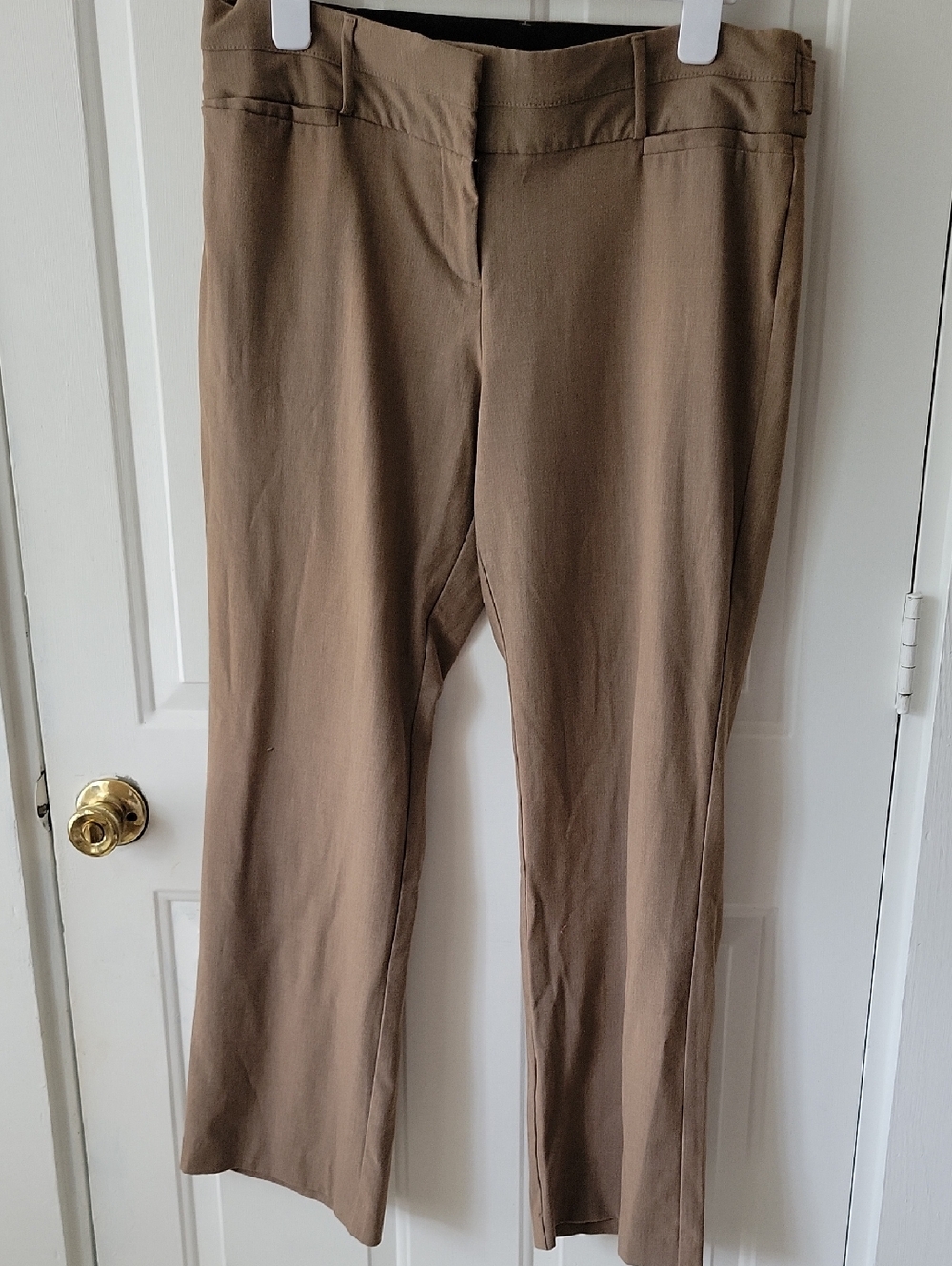 Maurices Brown Boot Cut Pants